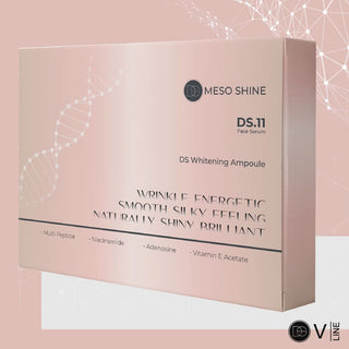 DS MESO 10 SHINE REPAIR MAINTENANCE